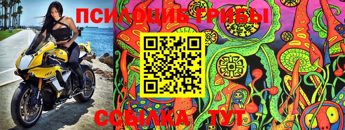 Псилоцибиновые грибы GOLDEN TEACHER  Галлюциногенные грибы MAGIC MUSHROOMS  Вход с VPN  наркотики  Рузаевка 